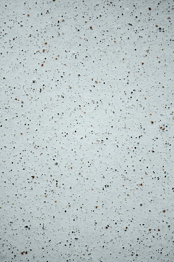white surface, dots, speckled texture, organic pattern, design use, subtle texture, white background, speckled white, detailed view, surface texture, white speckles