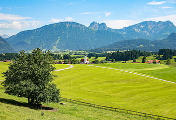 alberi verdi, campi verdi, paesaggio rurale, campi lussureggianti, montagne, pittoresco villaggio, tempo soleggiato, Paesaggio della campagna, bellezza naturale, ambiente sereno, Vista pastorale