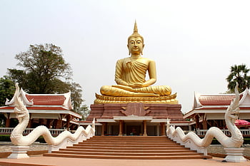 Templul lui Buddha de Aur, statuia de aur buddha, Arhitectura tradițională a templului, natura naturii, pași de templu, statui de dragon alb, Mediu senin, reper cultural, Sit religios, Templul în aer liber, statuia de aur