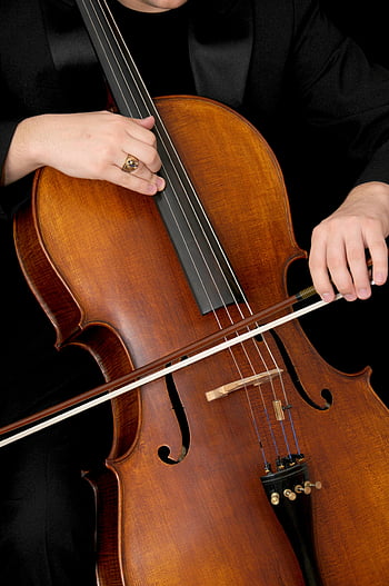 cello, musician, playing cello, detailed view, strings, bow, musical instrument, close-up, classical music, string instrument, performance