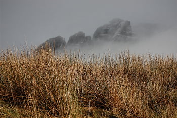 Skotsko, podzim, divoch, Příroda, krajina, isle of skye, skye