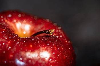 apple, ripe, red Apple, fresh Apple, delicious, red Fruit, water Drops, food Wallpaper, crispy Fresh, red Growth, apple Stalk