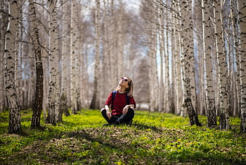 woman sitting, birch tree forest, sunlit forest, nature serenity, peaceful woman, outdoor scene, forest floor, natural setting, serene environment, woman enjoying nature, tree trunks