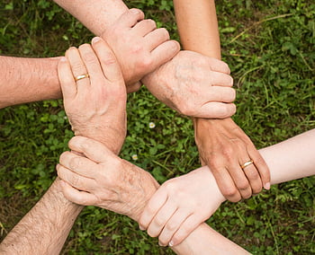 group of people, holding arms, diverse hands, connection, teamwork, unity, outdoors, close-up, multi-generational, community, togetherness