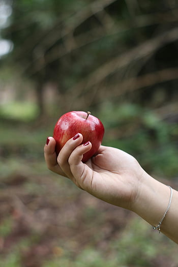 hand holding apple, vibrant red apple, close-up shot, outdoor background, blurred background, fresh fruit, healthy eating, natural food, red apple, human hand, bracelet