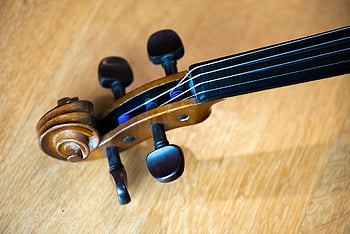 macro, violin, scroll, pegbox, tuning, pegs, instrument, music, classical, string