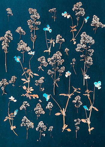 getrocknete Zweige, getrocknete Blumen, flach liegen, Bunte Wildblumen, strukturierten Hintergrund, künstlerische Komposition, getrocknete Pflanzen, Blumengesteck, natürliche Elemente, Blauer Hintergrund, getrocknete Kräuter
