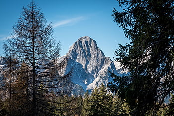 montagne, foresta, la neve, alberi, alpino, Alpi, catena montuosa, paesaggio, campagna, scenario, natura