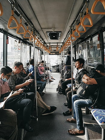 city bus, passengers, urban area, daily commute, seats, public transportation, commuters, interior view, transit, travel, people sitting