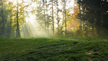 horské krajiny, hory, krajina, steinweg, Příroda, horská turistika, turistika, horské vrcholy, vysokohorský, louka, schodiště