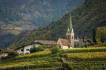 efterår, vingård, Efterår Vineyard, Bolzano, Italien, rejse, natur, efterår farver, hus på bakken, gule blade, Bolzano Italien