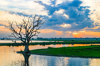 Myanmar, strom, jezero, Příroda, barma, krajina, voda, Asie, nebe