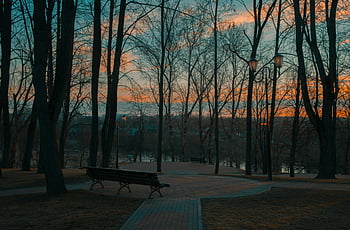 Vitebsk Park, bielorussia, Viste al tramonto, alberi senza foglie, scena tranquilla, panchine, lampioni, Luce della sera, bellezza naturale, atmosfera pacifica, parco urbano