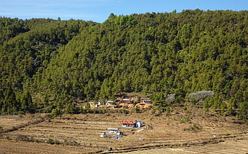 Tal, Hügel, terrassenförmig angelegt, Landwirtschaft, Plateau, Siedlung, Dorf, Meghalaya, Indien
