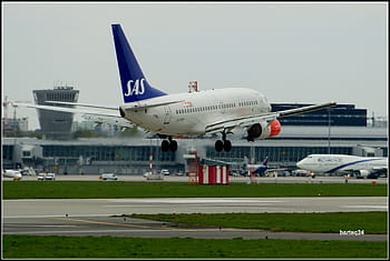 Boeing 737-600, LN-RPF, Scandinavian Airlines, Warsaw Chopin Airport, Poland, Europe, c/n 28307, SAS, airplane, landing, airport