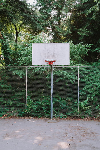 basketball court, park, Seattle, trees, fence, empty, outdoor, recreation, sports, nature, hoops