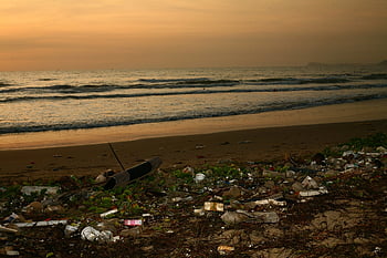 beach, trash, pollution, plastic, environment, garbage, tropics, southeast Asia, vietnam, nature, muine