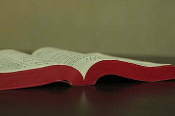 khmer Bible, bible, holy Bible, scripture, holy Book, sacred, belief, faith