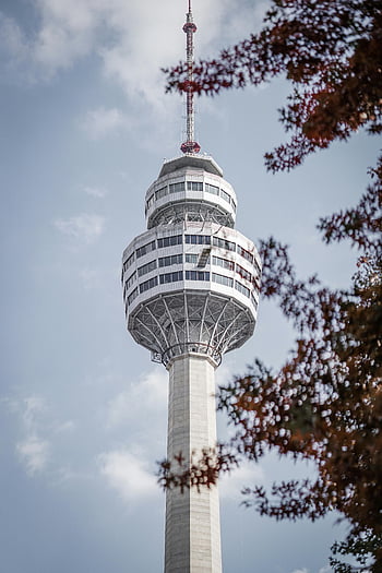 83. věž, Věž v Daegu, daegu, Korea, podzimní listí, čisté nebe, vertikální pohled, barevné listí, mezník, vyhlídková věž, architektura