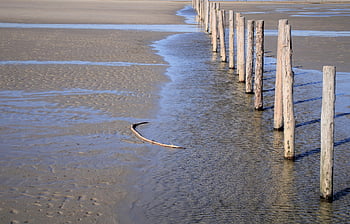 beach, sea, watt, wadden Sea, north Sea, st Peter Ording