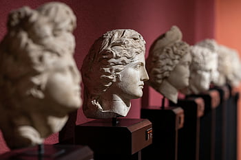 αναγεννησιακές προτομές πέτρας, μουσείο, δραματικό φωτισμό, συλλογή προτομής επικεφαλής, αρχαία γλυπτά, Έκθεμα τέχνης, Ιστορικά αντικείμενα, κλασική τέχνη, πέτρινα γλυπτά, εκθεσιακό μουσείο, Αναγεννησιακή τέχνη