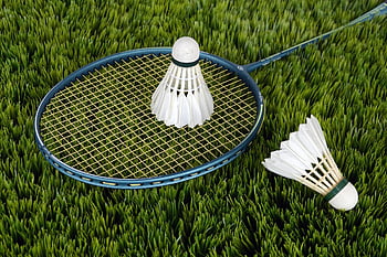 badminton, nature, racket, shuttlecocks, grass, play, game, sport, recreation, equipment, tennis