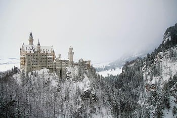 Neuschwanstein Castle, snowy Bavarian forest, castle on cliff, majestic castle, winter landscape, Bavaria, Germany, fairy tale castle, snow-covered forest, alpine scenery, European castle