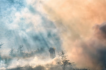 firemen, fire, smoke, rescue, brave, hero, grass Fire, forest Fire, dangerous, job, douse