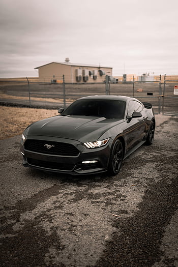 black Ford Mustang, parked street, Nashville, outdoor parking, sports car, quiet street, stylish car, black Mustang, Ford Mustang, car photography, street scene