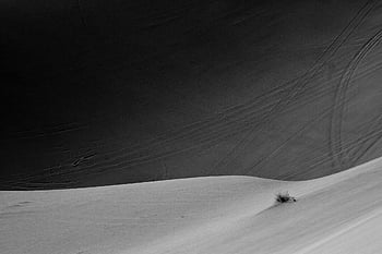 travel, minimal, nature, landscape, desert, grass, iran, kashan, shadow, contrast