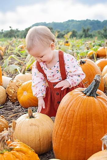 dítě, dýňová náplast, sběr dýně, dýně, malá holka, podzim, zelenina, batole, kavkazský, Sběr dýní, FALL FUN