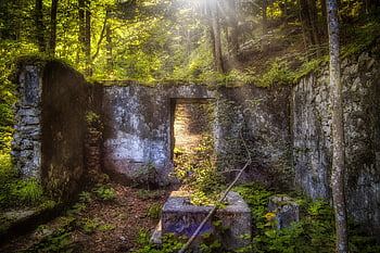 zdivo, zeď, starý, zřícenina, architektura, historický, vypršela, fasáda, otevírací, okno, dveře