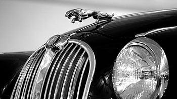 Jaguar emblem, black car, classic Jaguar, hood ornament, grille, monochrome style, close-up, vintage car, automotive design, car emblem, Jaguar logo