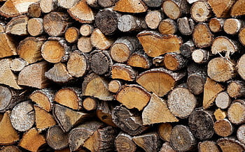 napít se, log, Příroda, protokoly, ohřívač, kufr, textura, střih, zimní, strom, kůra