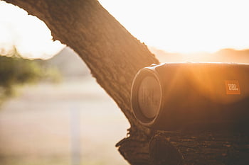 jbl lautsprecher, Nahaufnahmen, Tragbarer Bluetooth -Lautsprecher, Baum, Sonnenlicht, lebendige Atmosphäre, Warme Atmosphäre, Outdoor -Lautsprecher, Sonnenuntergangszene, Natur Hintergrund, drahtloser Sprecher