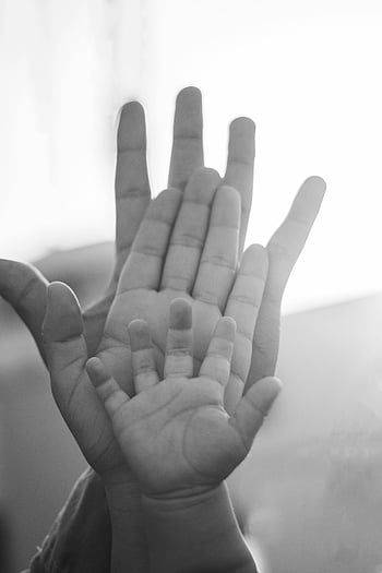 family hands, black and white, unity, generational ties, parents and child, close-up, palms together, symbolizing unity, family bonds, monochrome image, hand overlap