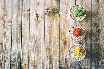 colorful succulents, rustic wooden surface, red plant decor, green plant decor, yellow plant decor, top view, natural hues, potted plants, succulent pots, wooden background, harmonious blend
