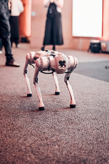 White Dog Robot, robotic dog, tech event, innovative technology, robot, automation, future tech, mechanical pet, artificial intelligence, tech showcase, robot dog