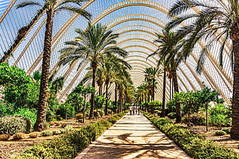 valencia, Spanyolország, pálmafák, épület, építészet, park