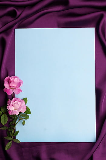 mock Up, empty Page, template, page, layout, creative, paper, empty, design, mock-up, workspace