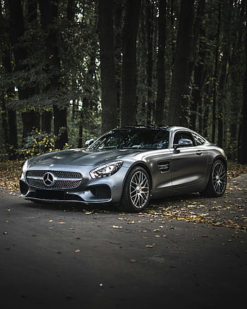mercedes-benz amg gt, ασημί αυτοκίνητο, σταθμευμένο, δέντρα, ρύθμιση δασών, αυτοκίνητο πολυτελείας, γαλήνιο περιβάλλον, ΕΞΩΤΕΡΙΚΟΥ ΧΩΡΟΥ, αυτοκινητοβιομηχανία, φύση, αγωνιστικό αυτοκίνητο