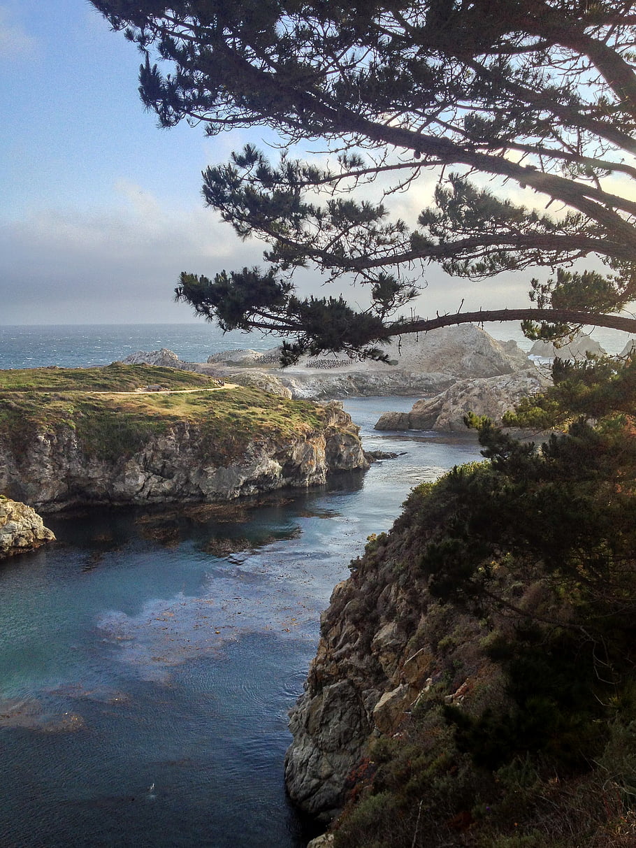 california, coast, water, shore, ocean, terrain, landscape, scenic, travel