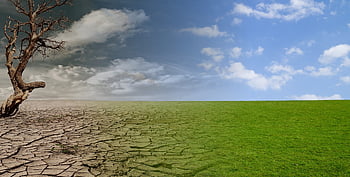 klimat, zmiana, Okres suszy, środowisko, pustynia, krajobraz, nieszczęście, ekologia, planeta, ciepło, Natura