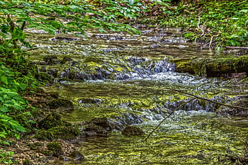 water, waterfall, nature, bach, flow, landscape, forest, lapping, stones, wet