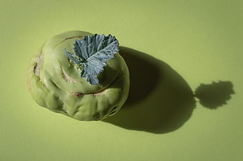 kohlrabi, brassica Oleracea, turnip, turnip Cabbage, beetroot, air Kohlrabi, vegetable Plant, vegetables, food, healthy, fresh