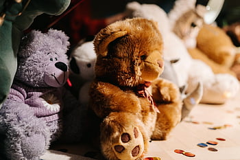 brown bear plush, gray bear plush, teddy bears, warm lighting, close-up, assorted plush, charming, stuffed animals, soft toys, indoor scene, cozy atmosphere