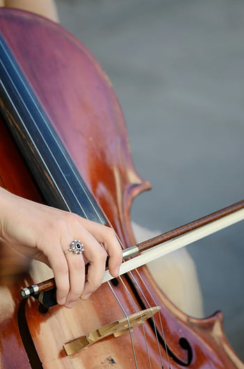 cello, musician, hand, bow, detailed shot, playing cello, musical instrument, string instrument, close-up, music performance, classical music
