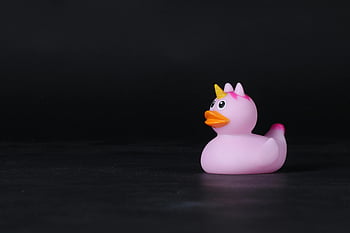 pink rubber duck, unicorn horn, bath toy, whimsical toy, dark backdrop, bath time fun, rubber duck toy, pink toy, unicorn duck, playful toy, children's toy