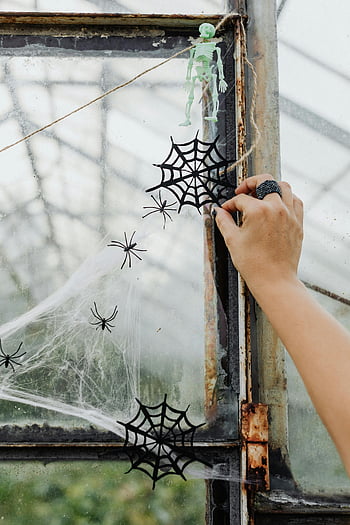 ハロウィンデコレーション、 蜘蛛の巣の装飾、 不気味な雰囲気、 手作業で窓を飾る、 ハロウィーンのクモの巣、 ハロウィーンの窓飾り、 ハロウィンの骸骨、 ハロウィーンのクモ、 ハロウィンDIY、 ハロウィーンの工芸、 ハロウィーンのウィンドウディスプレイ