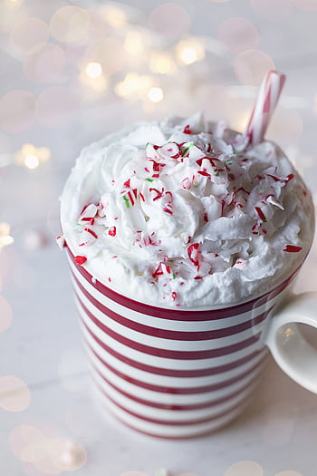 holiday, hot, chocolate, beverage, drink, whipped, cream, cup, mug, seasonal, christmas